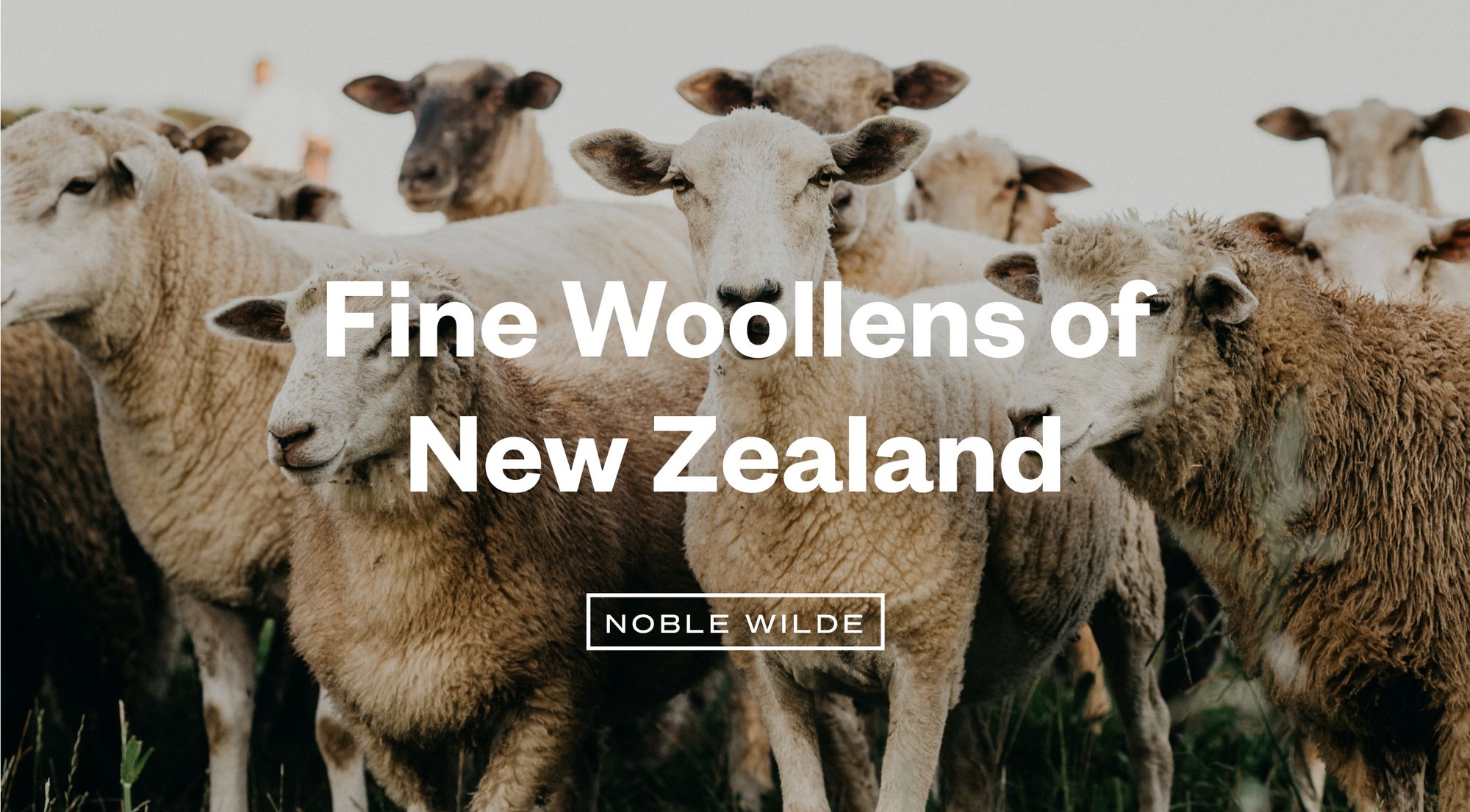 Noble Wilde